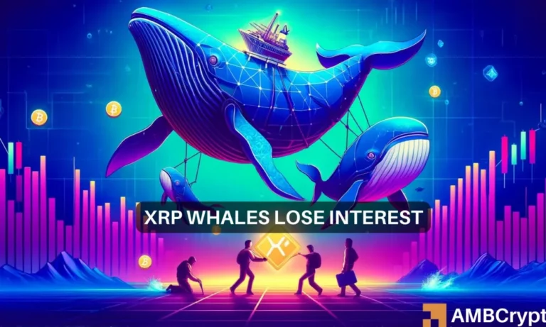 XRP Whales move 1000x600
