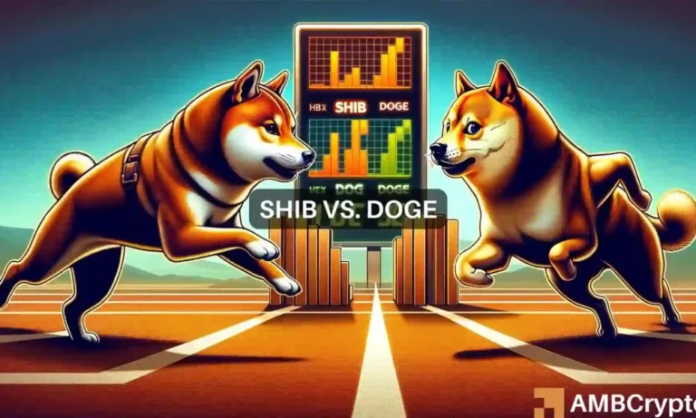 shib and doge news 1000x600
