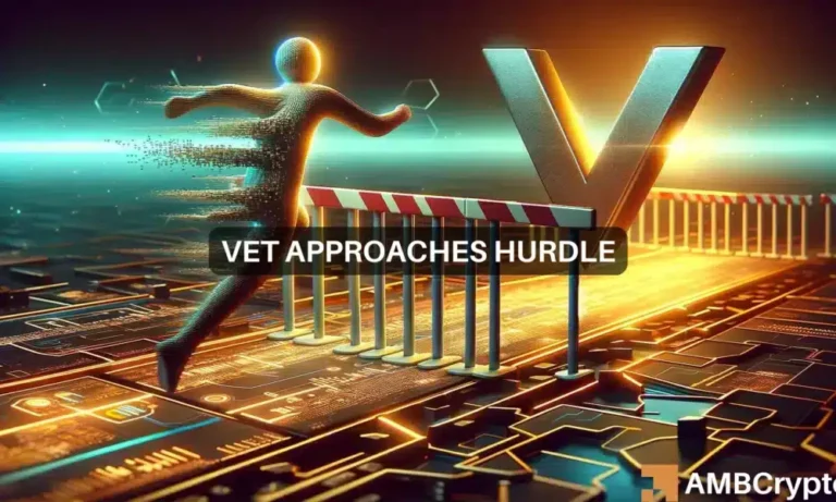 vet webp 1000x600