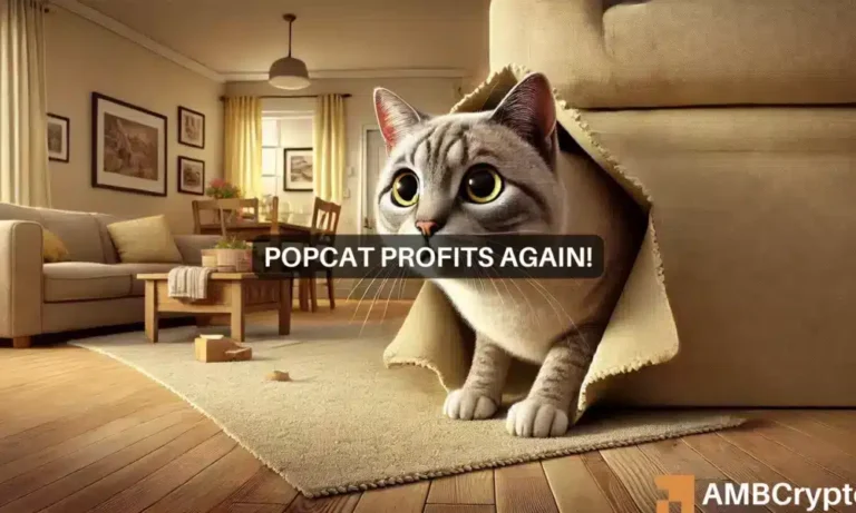 popcat webp 1 1000x600