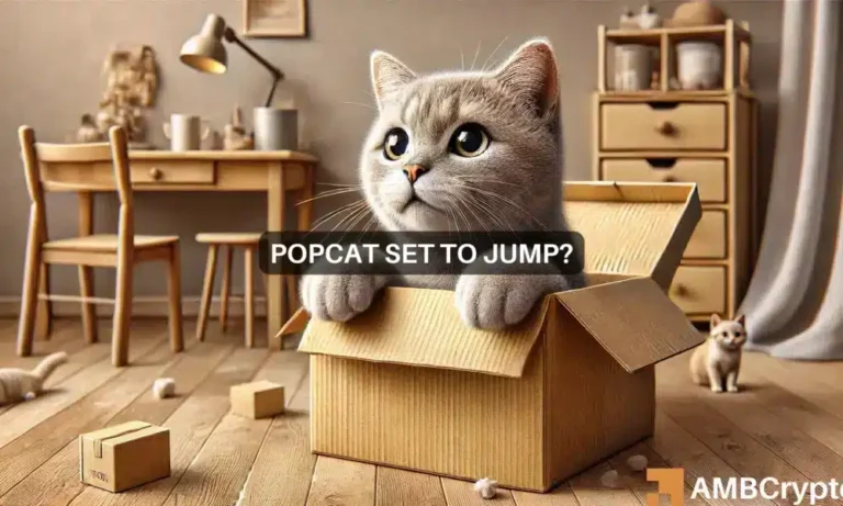 popcat webp 1000x600