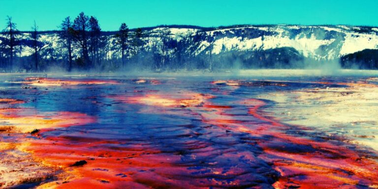 the yellowstone