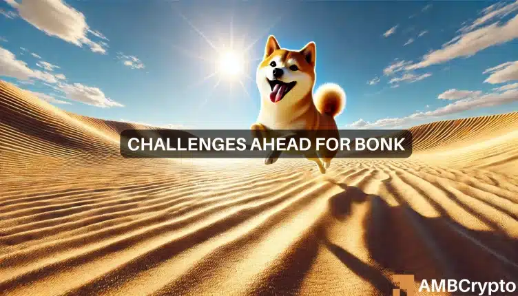 BONK Featured