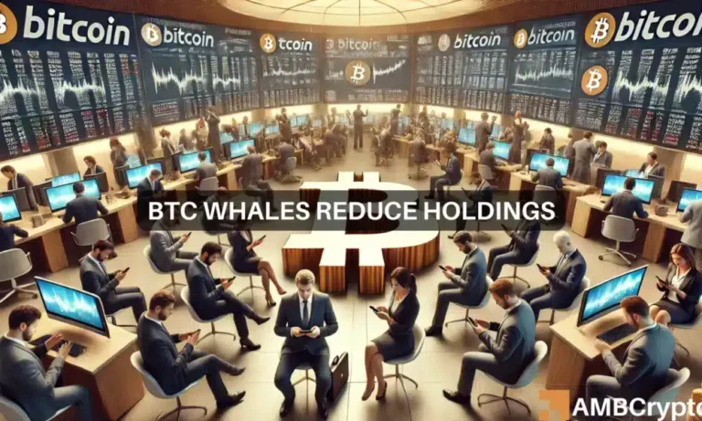 BTC whales reduce holdings 1000x600