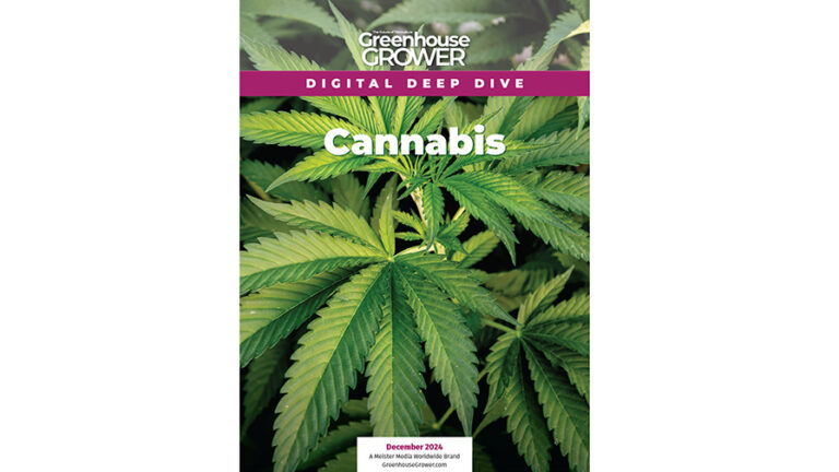 896x504 2024 12 GG Cannabis Digital Deep Dive COVER