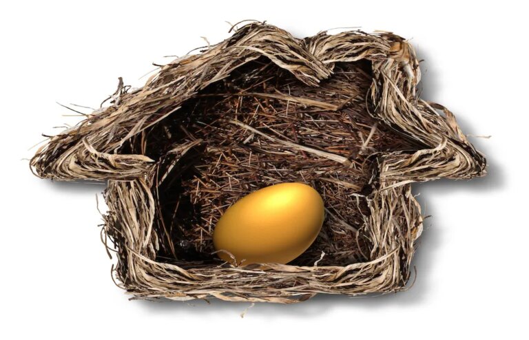 nest egg