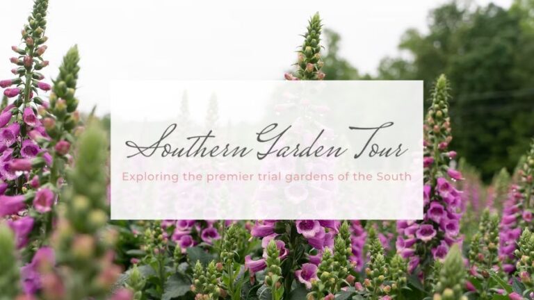 2025 Southern Garden Tour Trial Garden Open House dates and schedule