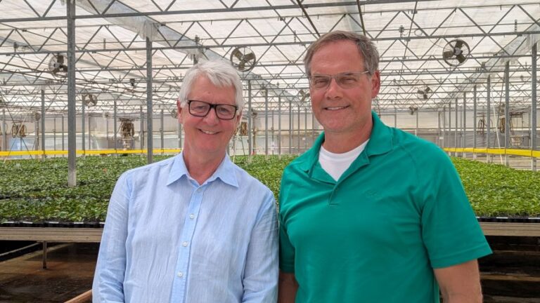 Graff Breeding and Costa Farms