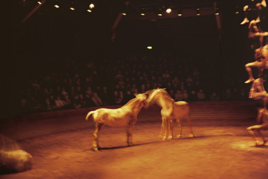 Horse Circus Paris 2004 V4