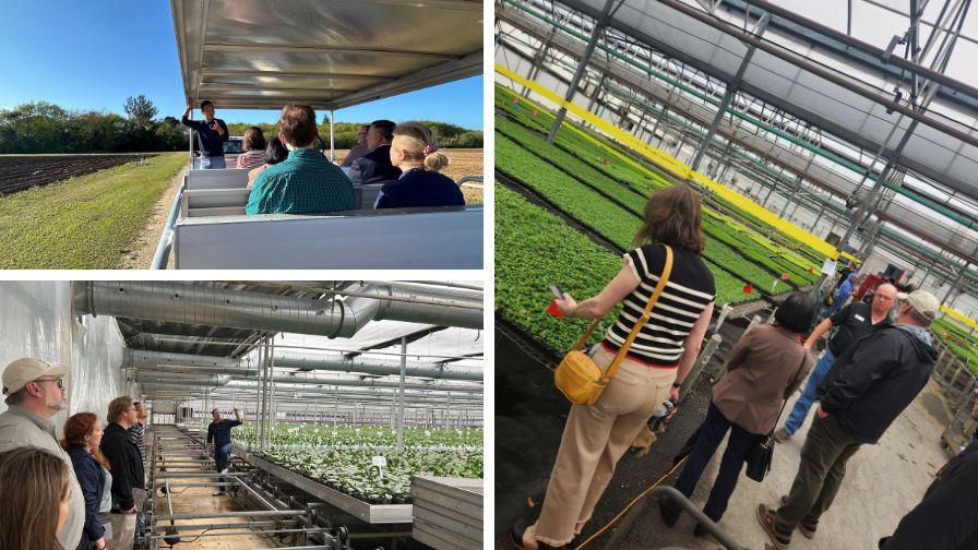 Miami Dade Florida Nurseries Disease and Pest Control Research Tour