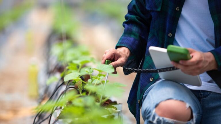 Smart farm Farmer using tablet computer control agricultural system in greenhouse herbs