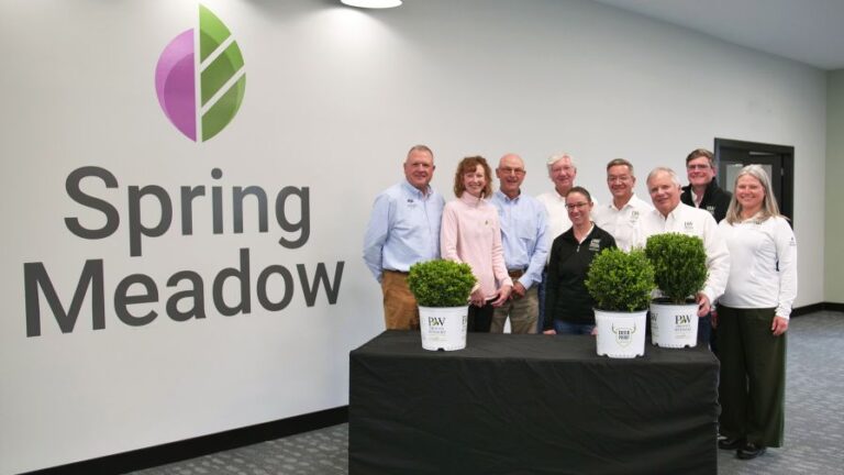 Spring Meadow Nursery and NewGen Boxwood