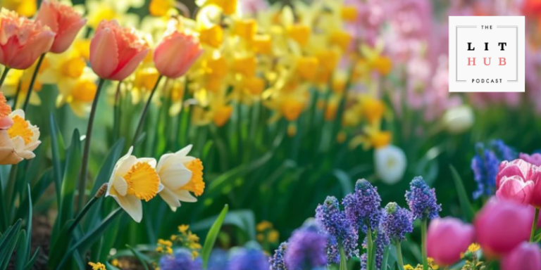 banner LHP37