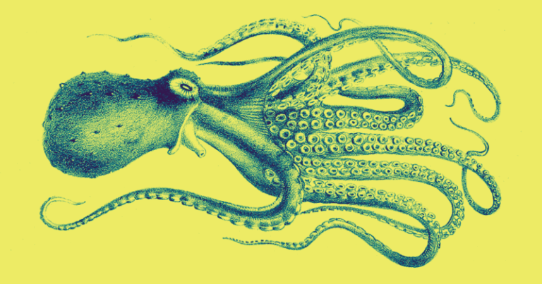 octopus 1